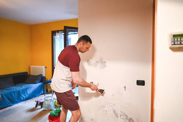 Best Commercial Mold Removal  in Tangerine, FL